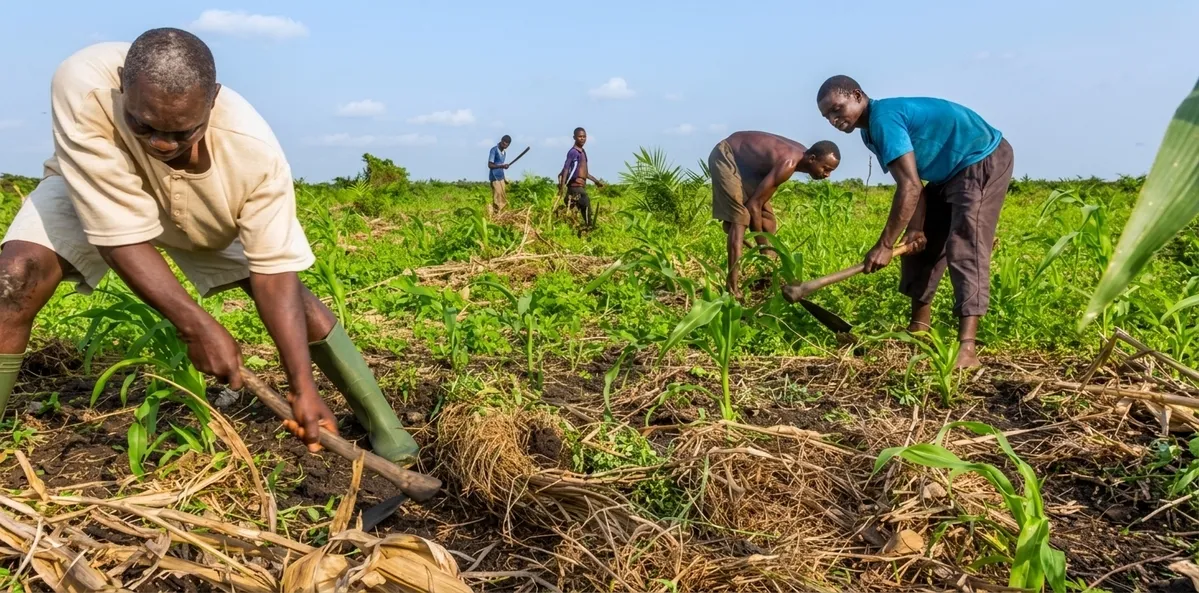 Programme de productivité agricole et de protection sociale des agriculteurs